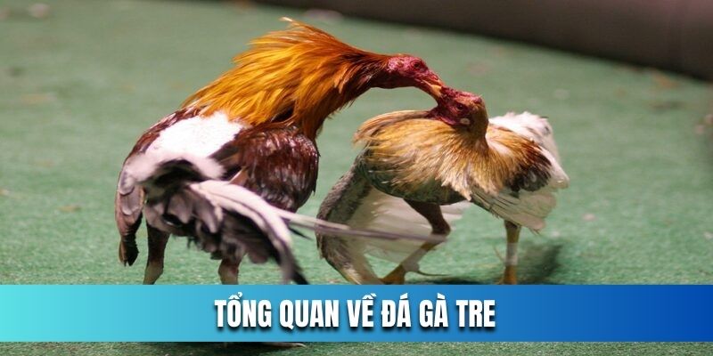 Tong-quan-ve-da-ga-tre