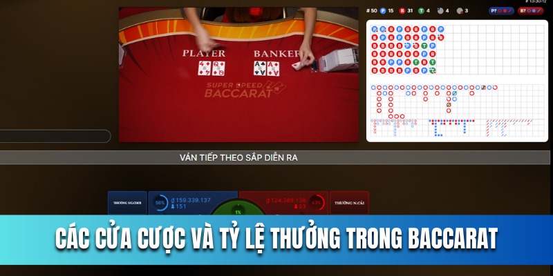 cac-cua-cuoc-va-ty-le-thuong-tuong-ung-trong-baccarat