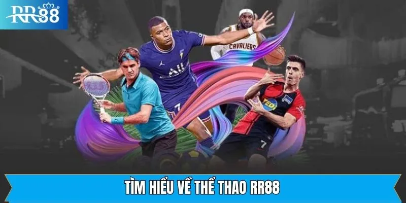 Vài nét về sảnh cá cược đầy kịch tính Vài nét về sảnh cá cược đầy kịch tính